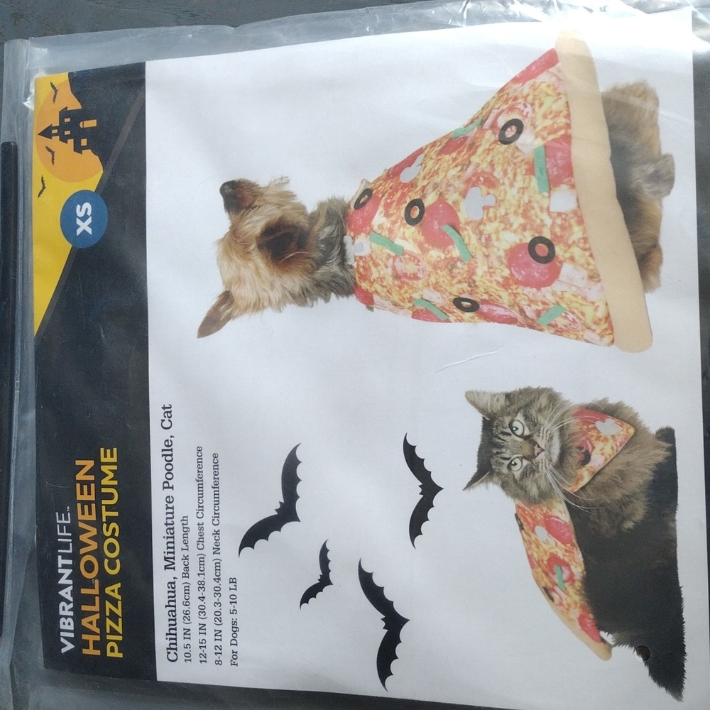 Vibrant Halloween Pizza Costume for Cats - Yellow and Red